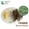 Estratto di Kava Kava cinese