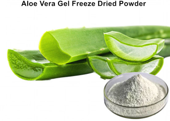 Gel di aloe vera in polvere liofilizzata