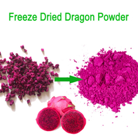 Polvere di frutta Pitaya in polvere di drago rosso liofilizzata al 100%.
