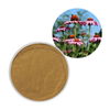 Echinacea Polifenoli 4% Estratto di Echinacea