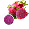 Polvere di frutta di pitaya in polvere di frutta rossa liofilizzata al 100% di purezza